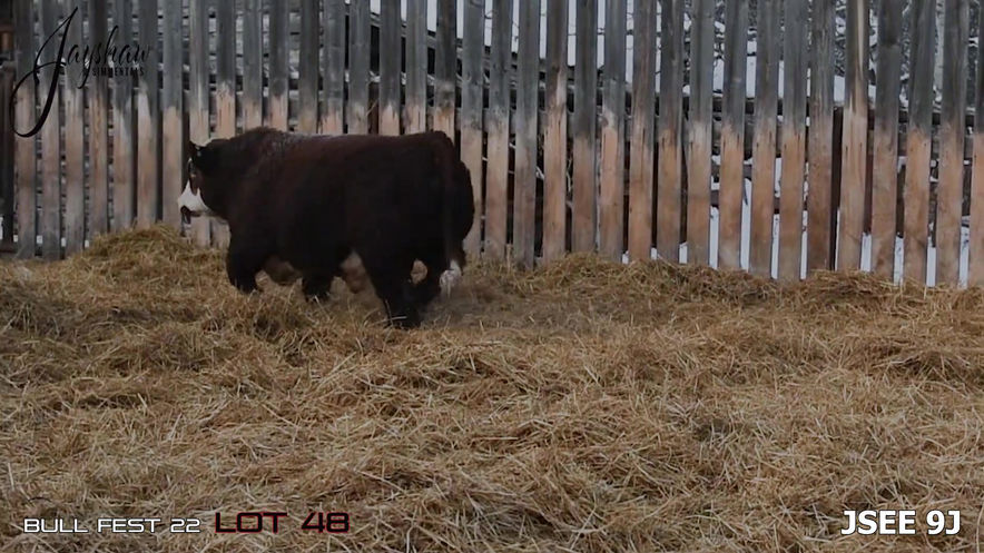 Lot 48: JSEE 9J